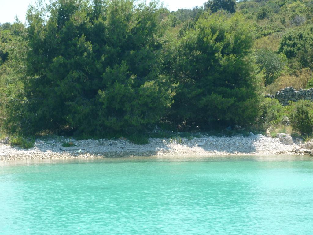 Apartment Pika Smokvina 2A Vinišće Rum bild